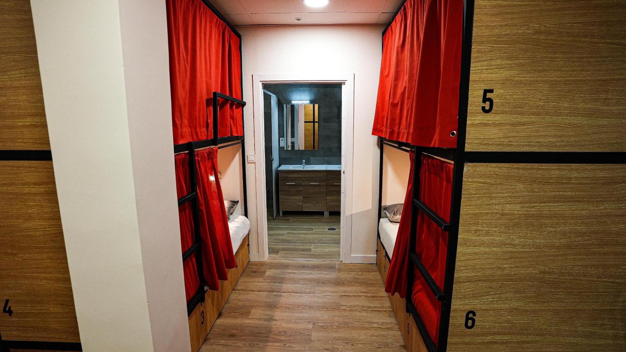 Bunk Bed Mixed Dormitory Room